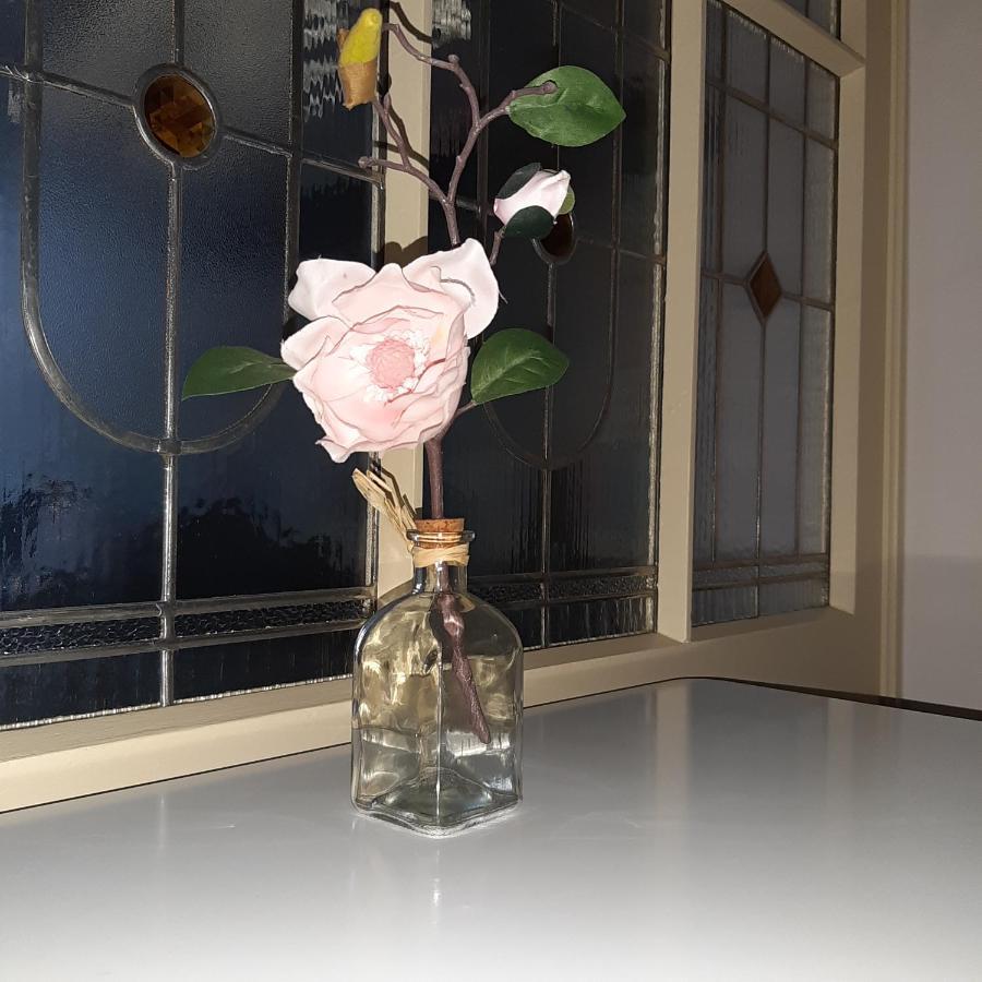 Apartmán u Javorů Varnsdorf Exteriér fotografie
